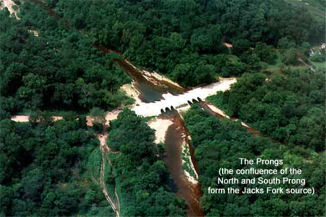 The Prongs