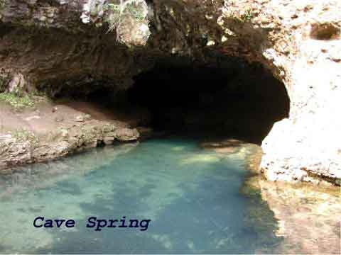 Cave Spring