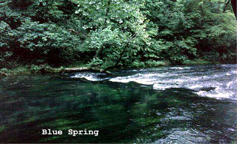 Blue Spring